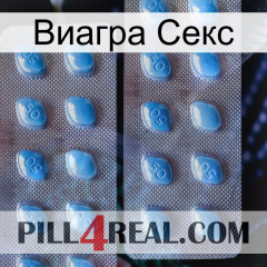 Виагра Секс viagra4